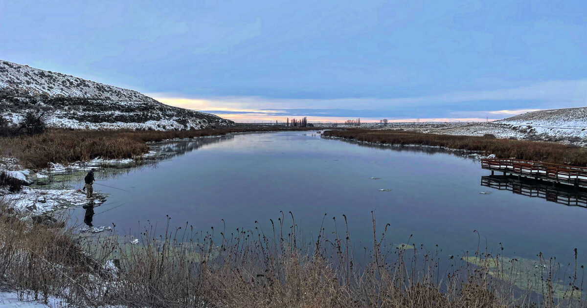 Fly Fishing Rocky Ford Creek: Planning a Guided Sight-Fishing Day